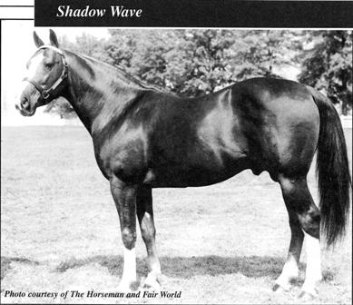 Shadow Wave, from John Bradley's book