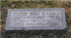 Shadow Wave's grave