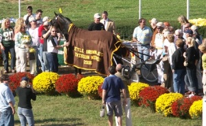 Mr Feelgood in the winners circle 2006