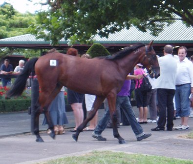 Big Is Good yearling sale