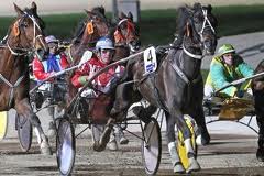 Kyvalley Mac, son of Princess Della