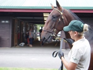 Lot 133 Classic Bromac