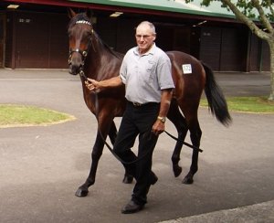 Lot 173 Lightning Flight