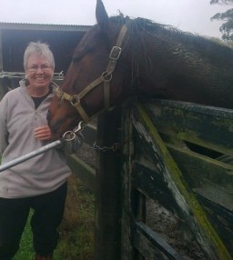 Tintin In America, Sire