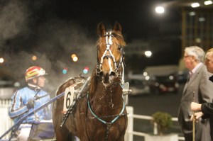 Destination Moon's first win - with owner Kerry Hoggard and driver Josh Dickie at Alexander park. Photo courtesy Trish Dunell