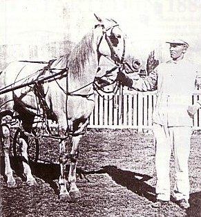 Wairoa Belle 1920 New Zealand