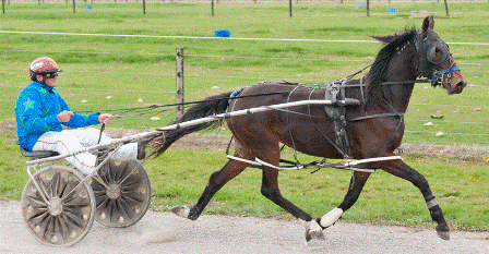 Ashleighs Flight yearling filly