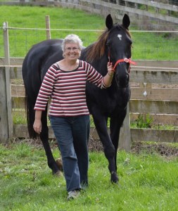 Bee with Zenterfold May 2014