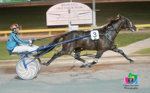 Destination Moon, winner at Cambridge 17 April 2014. Photo: Fokus Harness Photography 