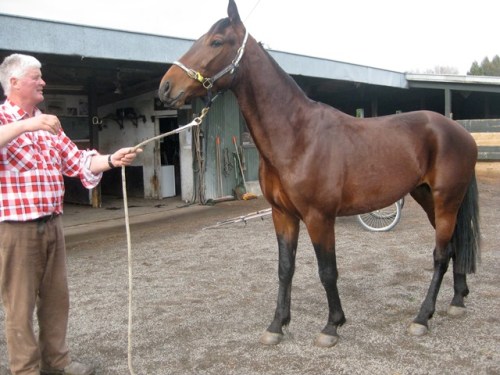 Articulight with Dean Taylor