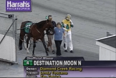 Destination Moon win 10 Oct 2014 race 14