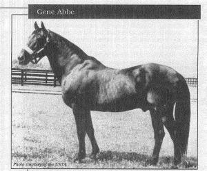 Gene Abbe photo USTA