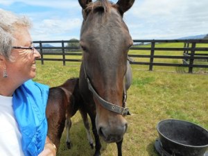 With Sophie's Choice