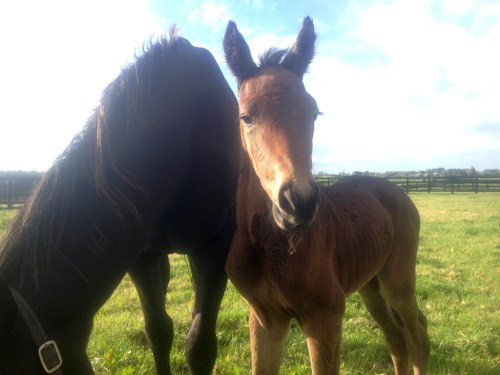 Zenterfold x RRHeaven day one