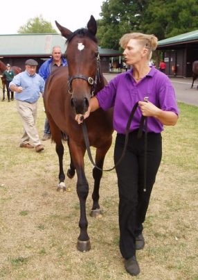 Heart Stealer as a yearling