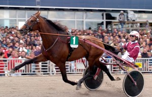 Revenue trotting sire