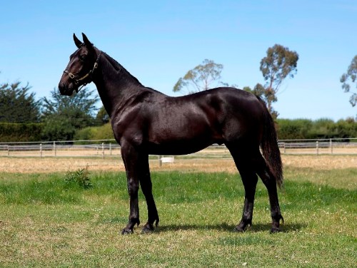 Lot 268 Standing Bear