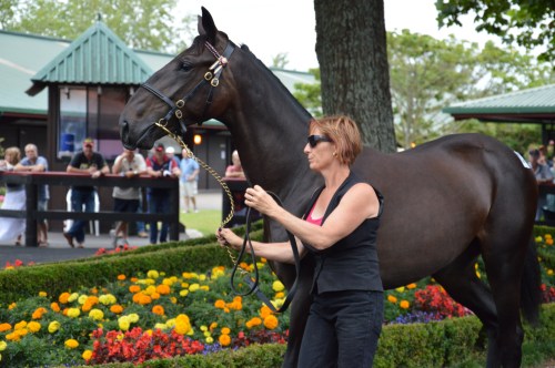 Lot 23 Black and  Royal  has left a lovely filly by Christian Cullen