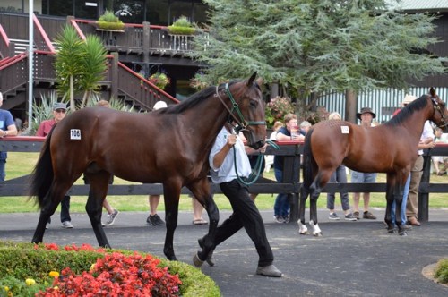 Lot 106 All About Me