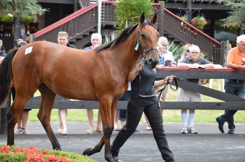 Smiley Sophie, half to Stunin Cullen and Coburg