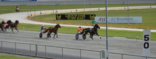 Back The Black home straight winning