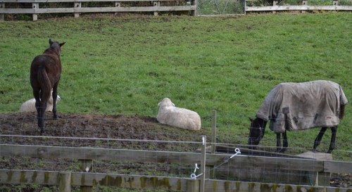 And then along comes the blyfriend. I'll just ignore him. We're happy just the way we are.