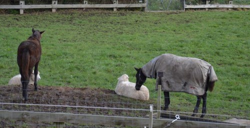 But out of the corner of my eye I can see he's getting jealous.