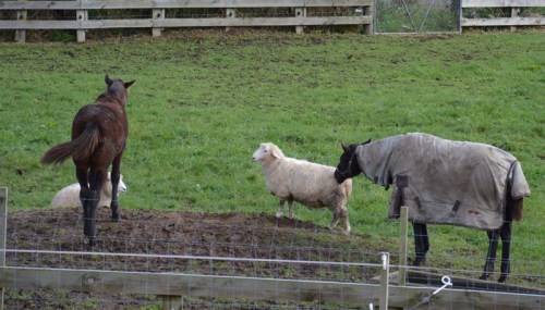 He better not try that trick with me!