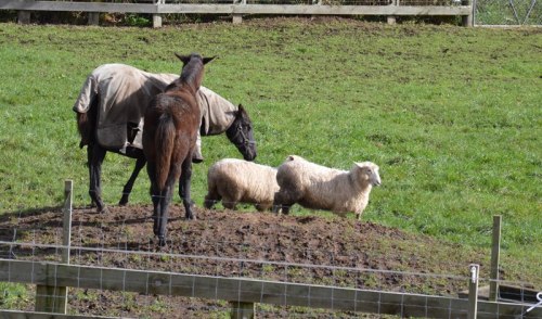 That was too much to hope for. 