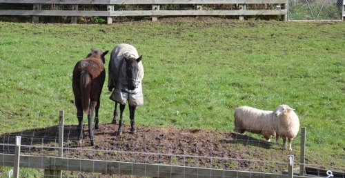 Okay, I'll let you hang out, so long as you just stand still and don't annoy me. Chill, babe..