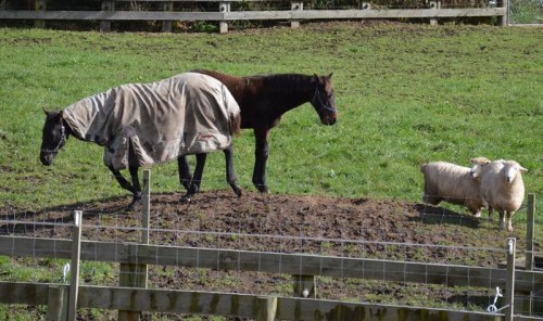 Typical. Lasted all of two minutes and he's bored!