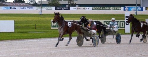 Isa Smiling 5yo mare