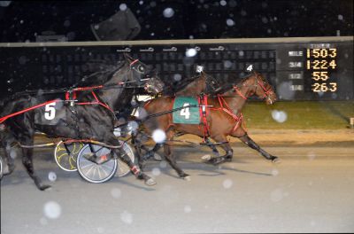 Texican N takes personal best in 2014