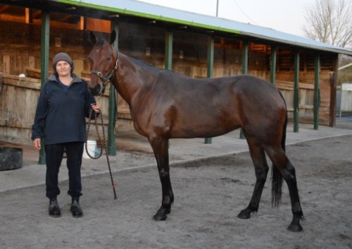 Elect To Go September 2015