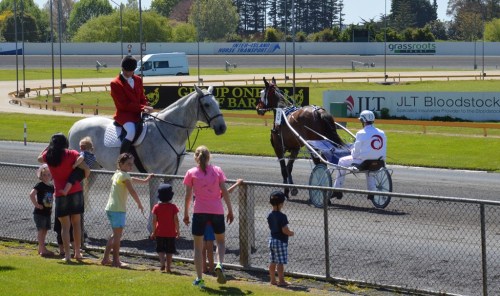 Harness Waikato 2015 local meeting