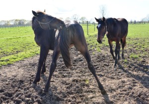 ????????????????????????????????????