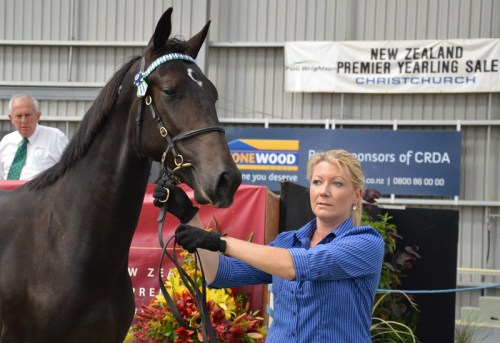 ????????????????????????????????????