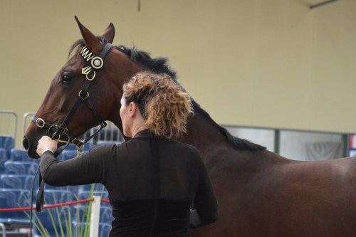 ????????????????????????????????????