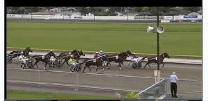 Kiwi Tintin first win 18 March 2016