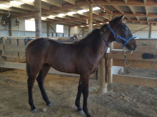 No White Flag April 2016