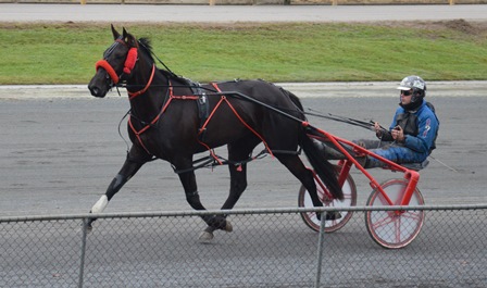 Alta Leonie, Big Jim 2yo filly