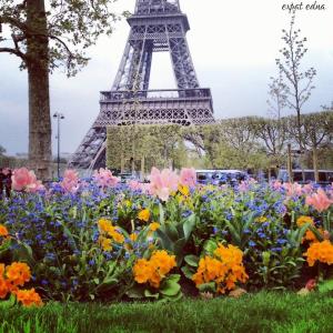 Paris Hanover competition