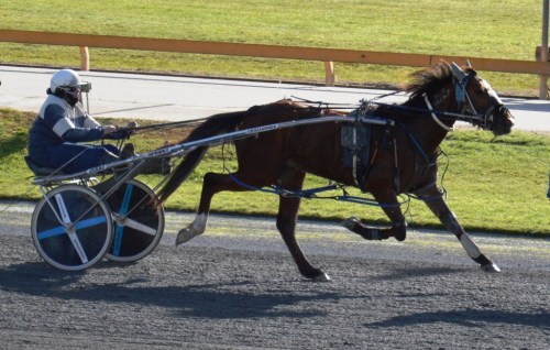 Vintage Master 2yo filly