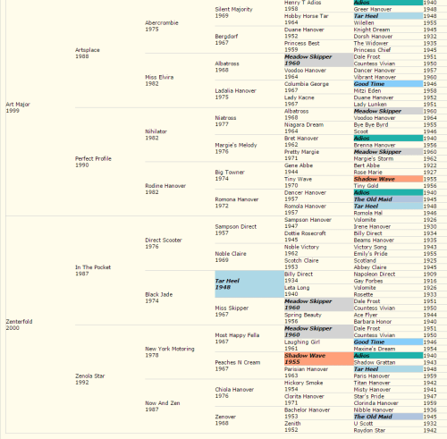 Art Major x Zenterfold pedigree match