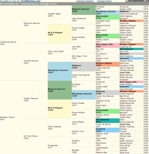 A Rocknroll Dance x Nostalgiic Franco