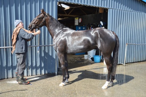 Be A Legend Oct 2016