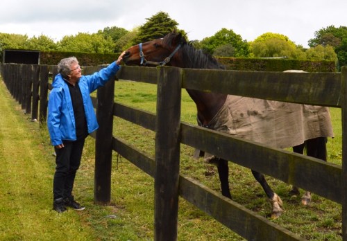 Bee Pears and Tintin In America at Nevele R Stud